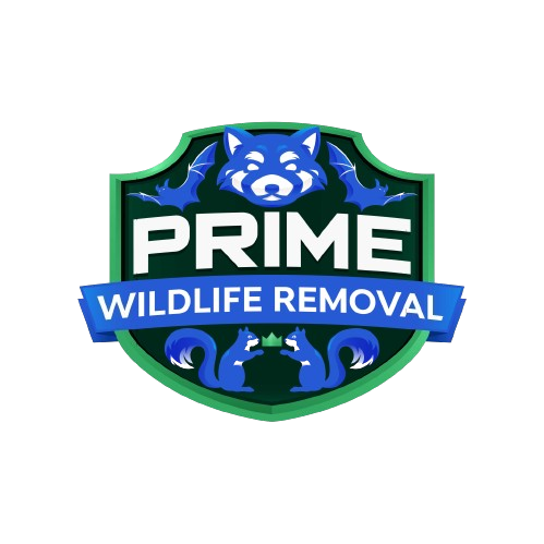 Animal Removal Port Sheldon